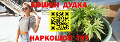 гидра Обнинск