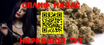 гидра Обнинск