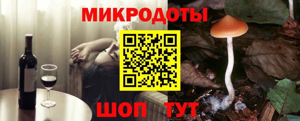 Галлюциногенные грибы Psilocybe  Вход с VPN  Сухой Лог 