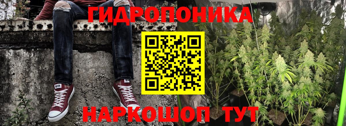 МАРИХУАНА Amnesia Сухой Лог